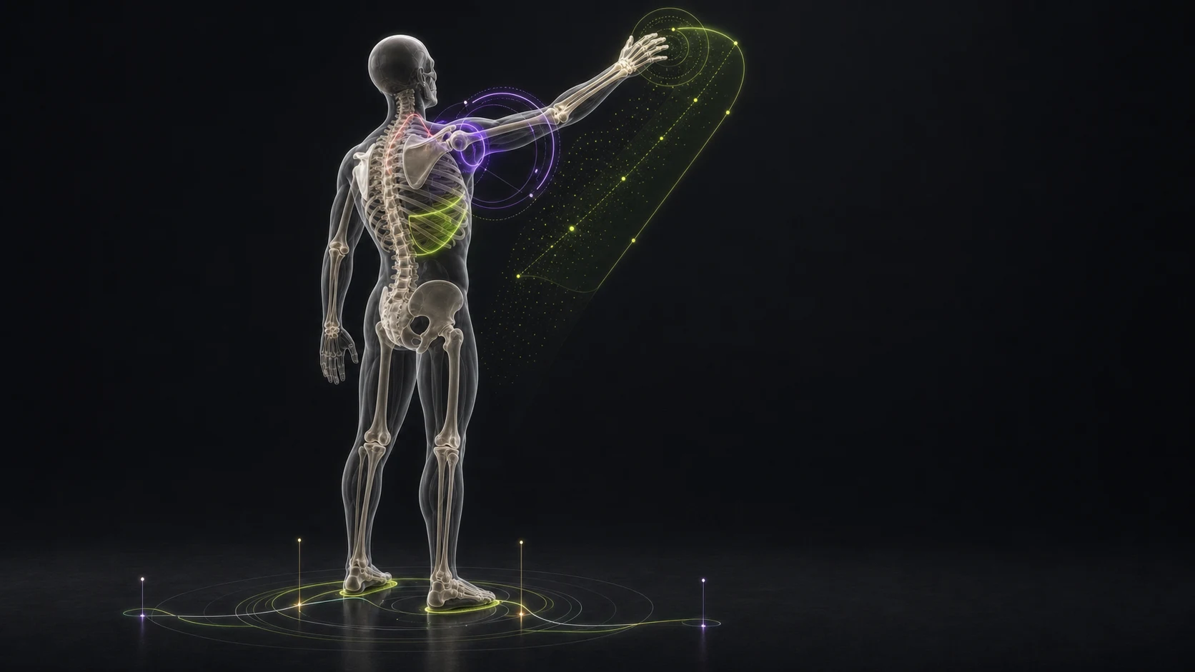 Posterior three-quarter anatomical study of arm elevation showing the scapula, humerus, rib cage, and one fan-shaped spatial guidance corridor